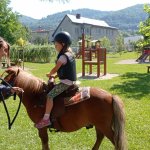 phoca_thumb_m_ponk 64 Fotogalerie